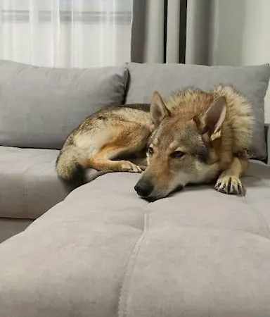 Maison Pour Des Apartamento *