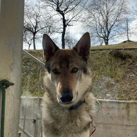 Maison Pour Des Ayent