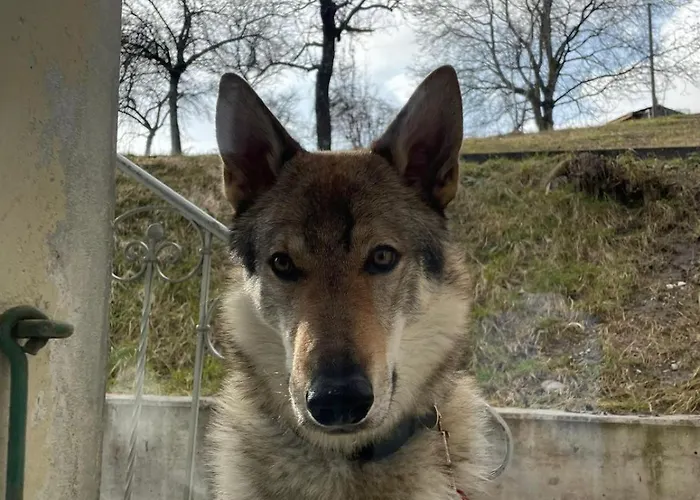 Maison Pour Des Ayent